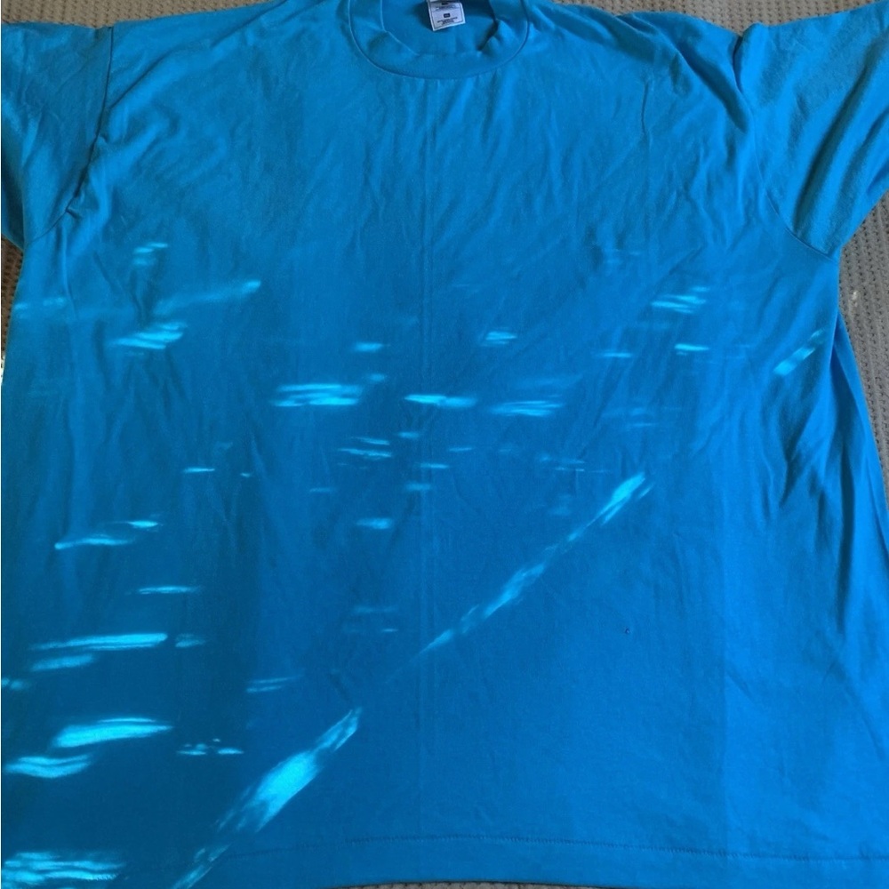 Vintage Y2K fruit of the loom single stitch T-shirt made in the USA XXXL